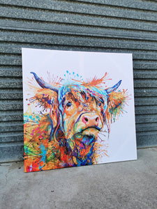 Pine Stretched  Framed 1 Panel - Finished Products - Rainbow Highland Cow