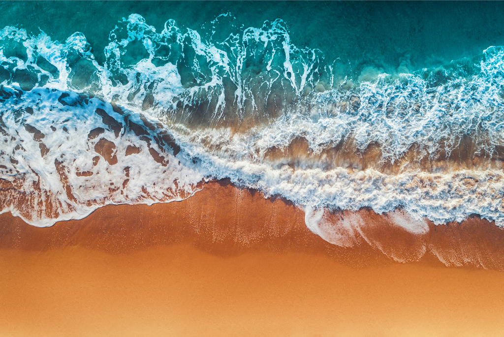 Pine Stretched  Framed 1 Panel - Wave