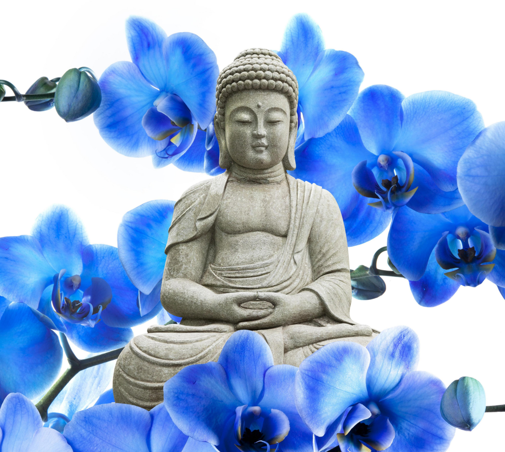 Framed 1 Panel - Buddha