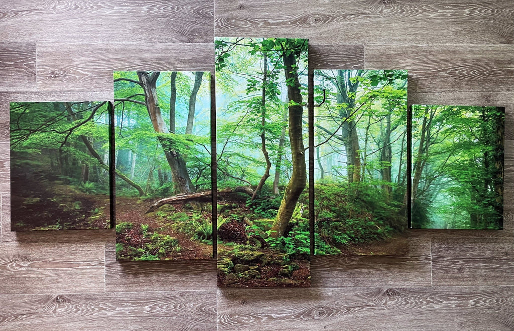 Pine Stretched  Framed 5 Panels - Finished Products - Forest