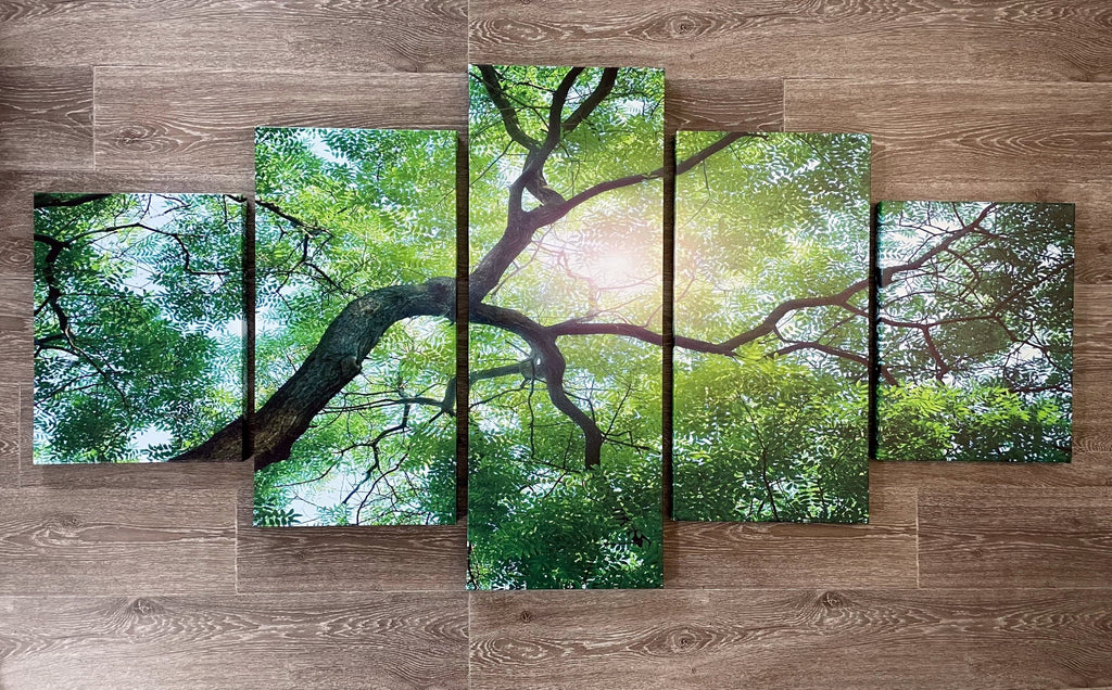 Pine Stretched  Framed 5 Panels - Finished Products - Tree